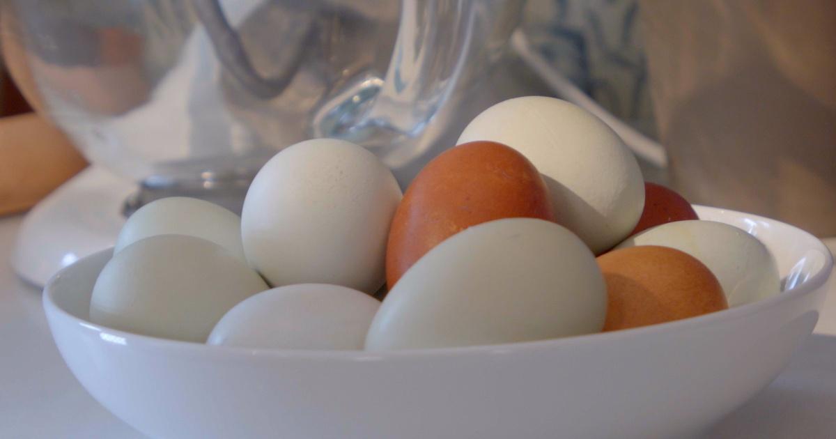 The Incredible Egg Washer  Incredible eggs, Chicken eggs, Farm