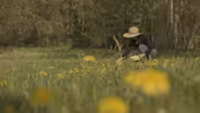 The Forager | Backyard Nature