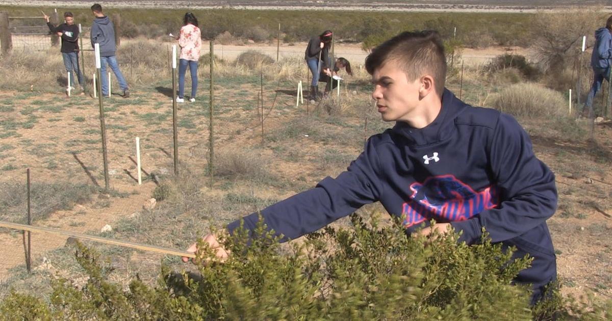 Issues & answers | sierra middle school 7th graders chance to plot desert data | season 2019 | episode 19