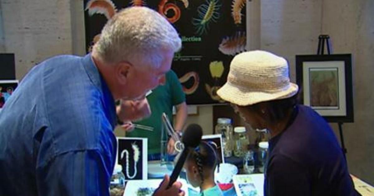 Visiting with Huell Howser | Visiting With Huell Howser: Bug Fair | PBS
