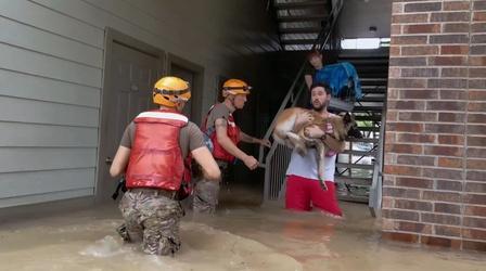 Video thumbnail: NOVA Did Climate Change Cause Hurricane Harvey?