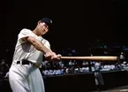 Ted Williams - Trailer