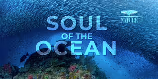 Nature: Soul of the Ocean - Promo