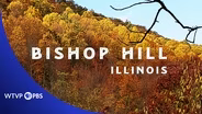 Bishop Hill