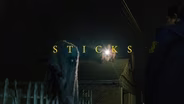 Sticks