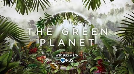Video thumbnail: The Green Planet The Green Planet - Teaser