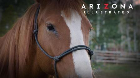 Video thumbnail: Arizona Illustrated Navajo Mustang, Expungements in Arizona, Th(Em), The Loft