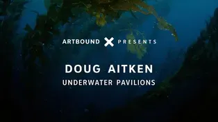 Sneak Peek: 'Artbound' Goes Underwater with Doug Aitken