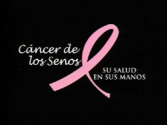 Cancer De Los Senos: Su Salud En Sus Manos