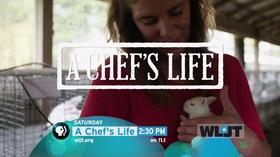 Video thumbnail: WLJT-DT The Chef's Life: Rabbit