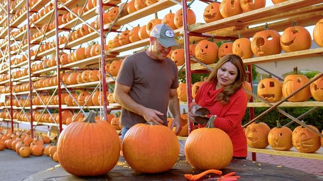 Pumpkins In Illinois
