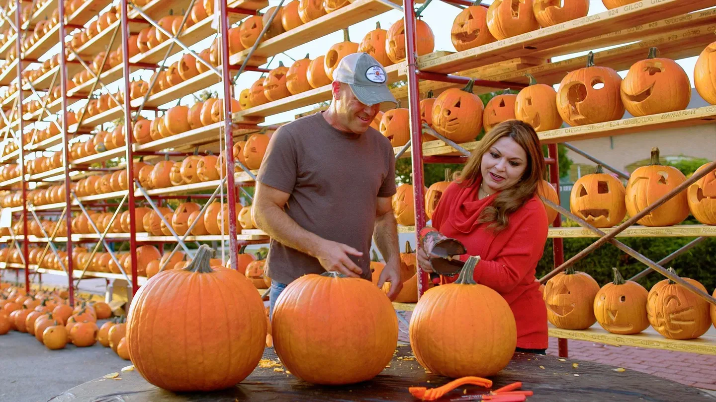 Pumpkins In Illinois