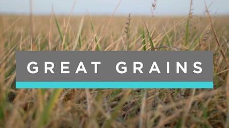 Video thumbnail: Feast TV Great Grains