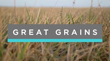 Video thumbnail: Feast TV Great Grains