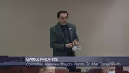 City Council Committee Approves Gang Ordinance