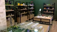 Cannabis operators say consumption lounge process too slow