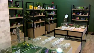 Cannabis operators say consumption lounge process too slow