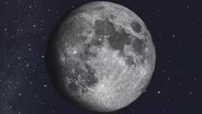 Magnificent Moon Maria | November 23 - November 29