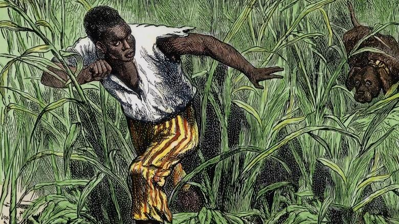 Harriet Tubman: Visions of Freedom Image