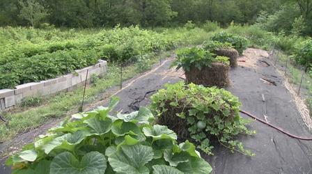 Video thumbnail: Great Gardening The Colors of Spring