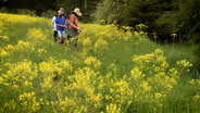 VHG Clippings: Garden Education