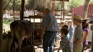 City Kids, Rural Life