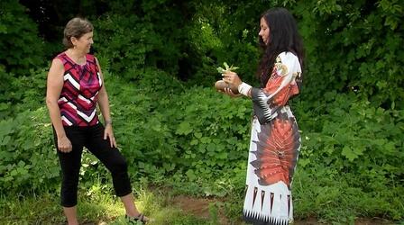 Video thumbnail: Virginia Home Grown Indigenous Peoples Work to Save Seeds of Traditional Crops