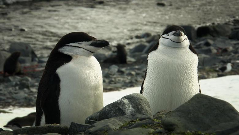 World's Greatest Image