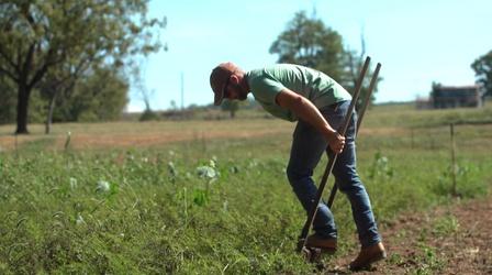 Video thumbnail: Virginia Farming How Permaculture Makes a Mighty Impact for Small Farms