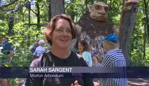 Towering Trolls Keep a Watchful Eye on Morton Arboretum