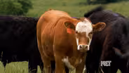 Farmland Initiative