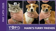 5/14/2026 | Fran, Tom Nook and KK Slider | Mark's Furry Friends Extra