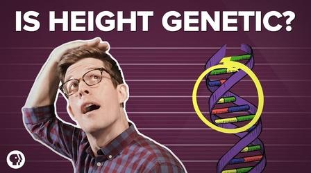 Video thumbnail: Be Smart Is Height All in Our Genes?
