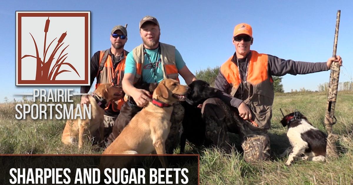 Prairie Sportsman | Sharpies and Sugar Beets | Season 9 | Episode 11 | PBS
