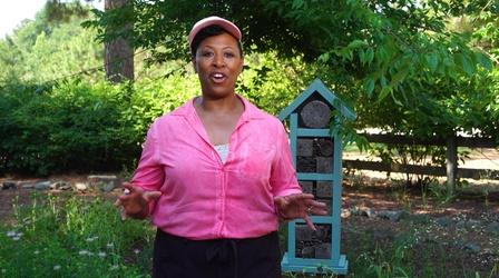 Video thumbnail: North Carolina Weekend Get Outside!