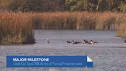 Cook County Tops 70,000 Acres of Forest Preserve Land