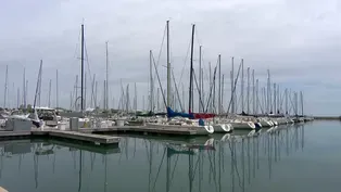 Why Are There Fewer Boats in Monroe Harbor?