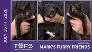 7/16/2026 | Alakazam, Abracadabra and Petunia Marie | Mark's Furry Friends Extra