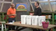 Bees & Composting