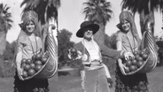 How Riverside’s Famous Orange Tree Sparked a Citrus Boom