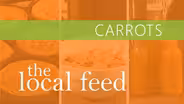 Carrots | Preview