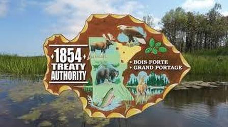 Video thumbnail: Native Report Electrofishing surveys at night with the 1854 Treaty