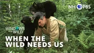 When The Wild Needs Us