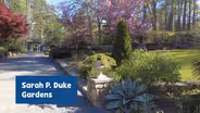 Visit Sarah P. Duke Gardens