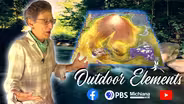 Augmented Reality Sandbox