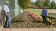 Planting Winter Annuals & Plant Superstitions