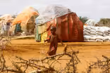 Somalia in need as it faces worst drought in decades