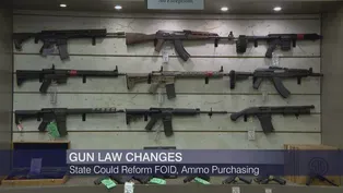 Illinois Could Reform FOID, Ammo Purchasing Gun Laws