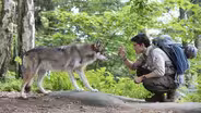 Wolf Tracks