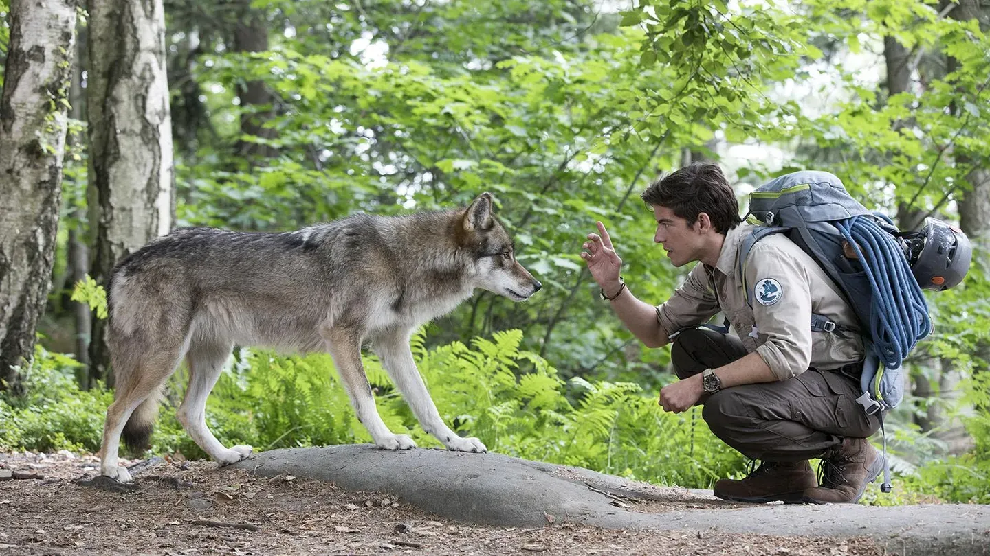 Wolf Tracks